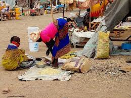 Empowering Refugees Through Technology 